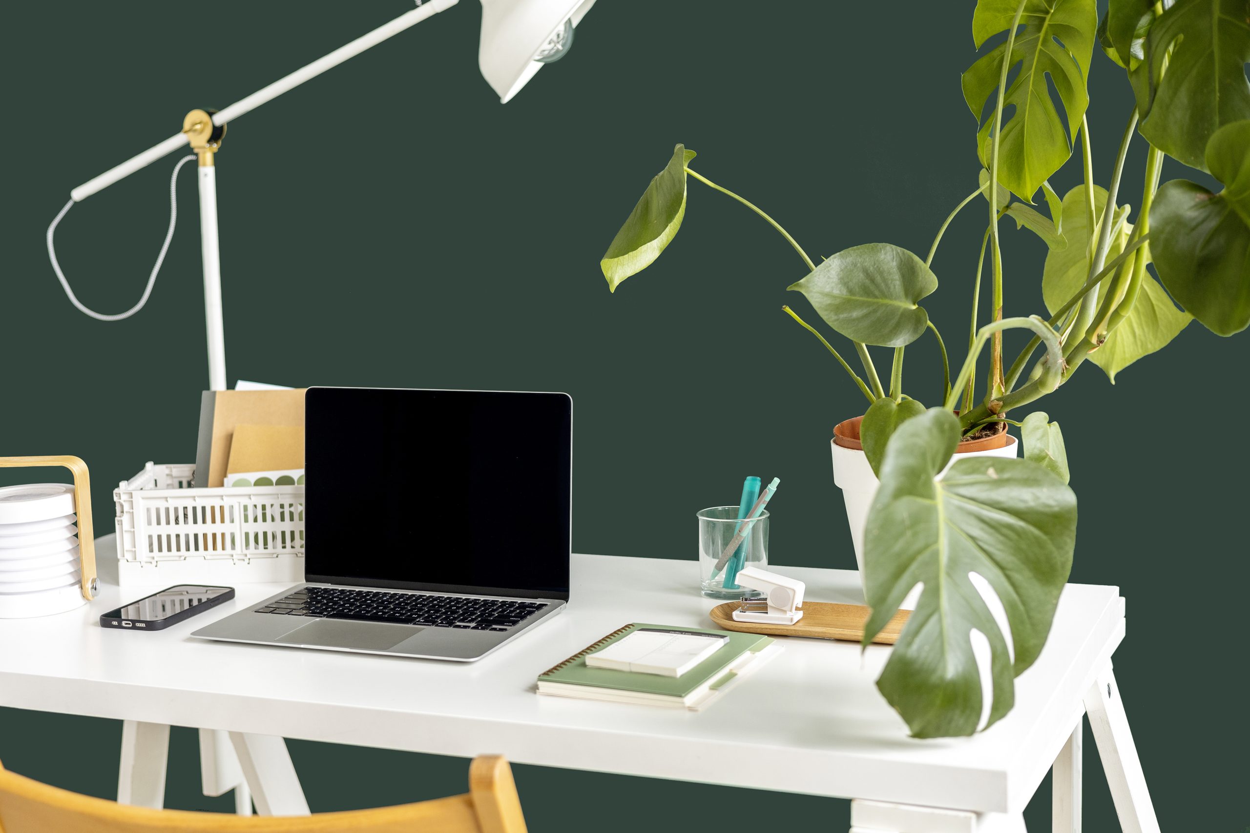 bluchic-botanical-workspace-012